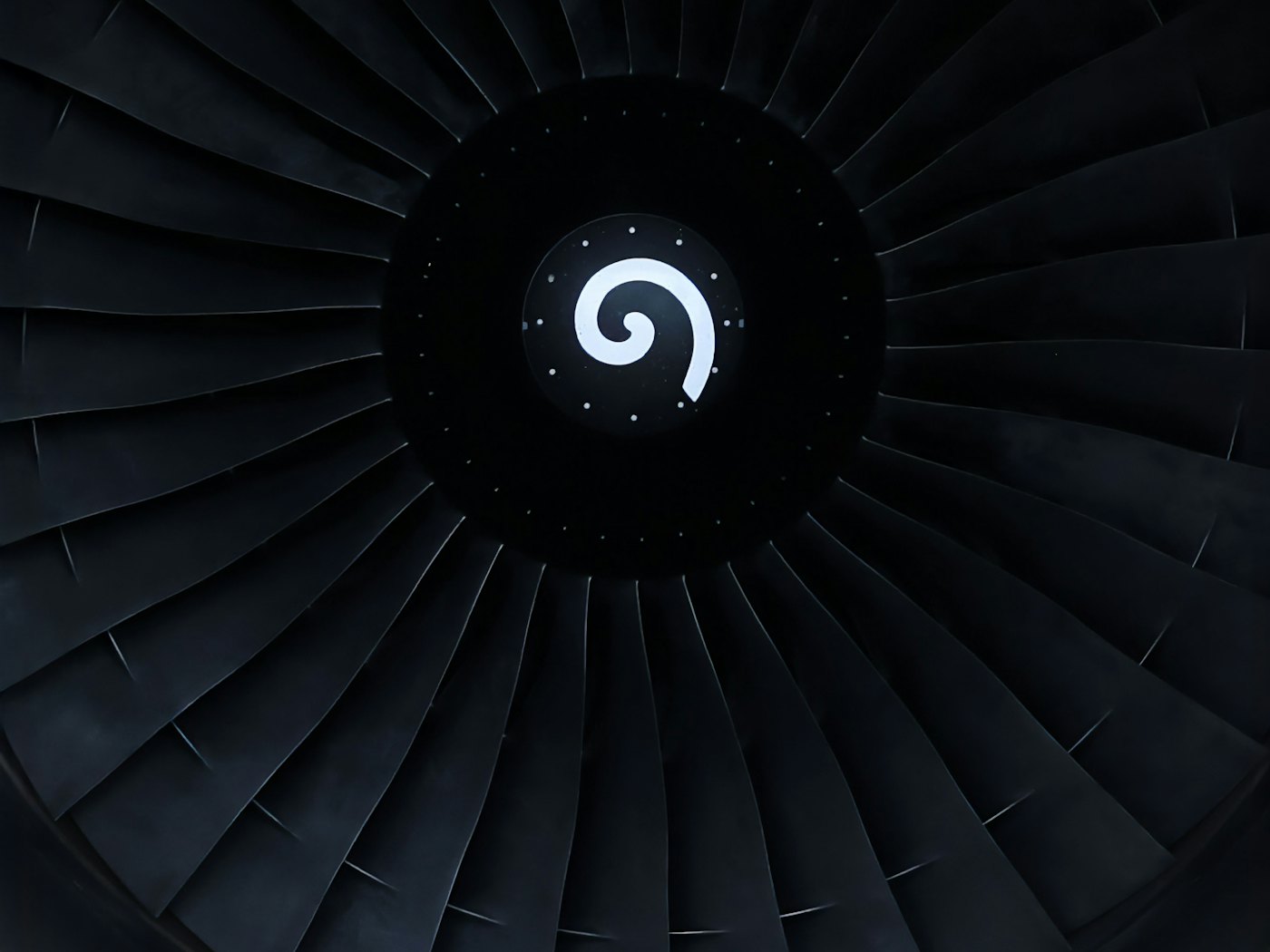 The fan blades of an aircraft jet engine